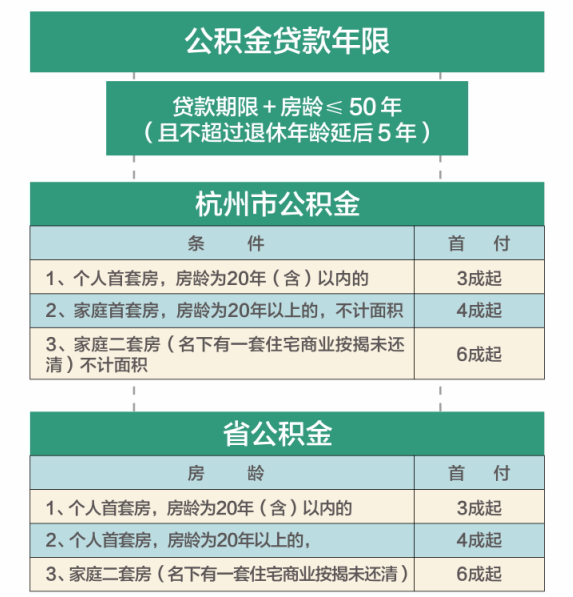 2024年12月22日 第31页