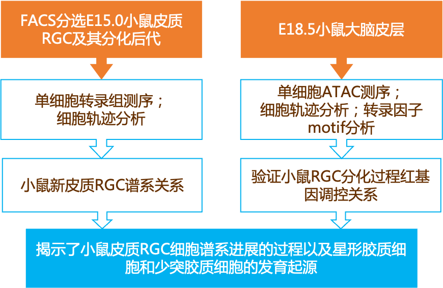 2024新奥精准资料免费｜2024新奥精准资料免费_高效实施解答解释措施