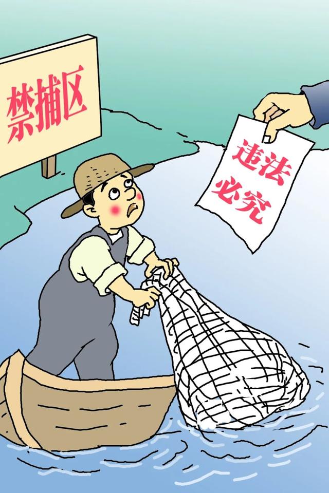 全面禁捕政策新规解读