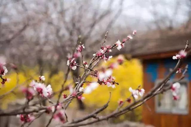 海棠时代广场喜讯连连，精彩资讯每日更新