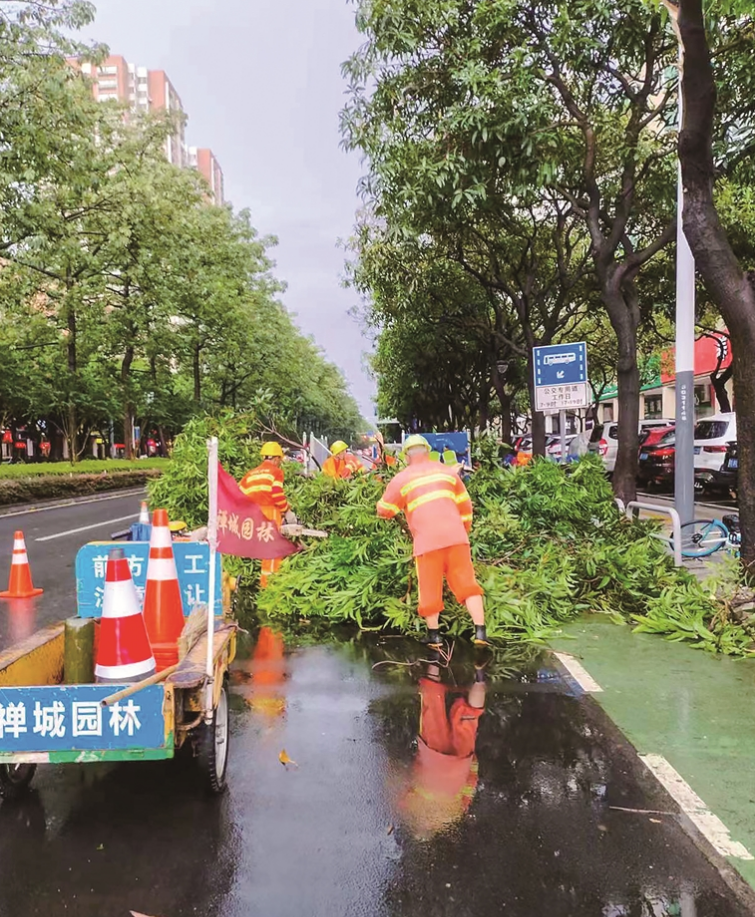 广东佛山喜迎台风最新好消息，共筑平安防线