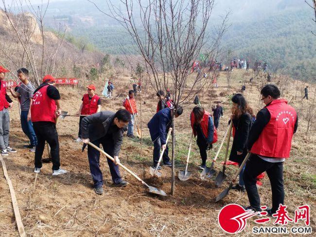 西安洪庆新城喜讯连连，未来宜居新篇绽放光彩