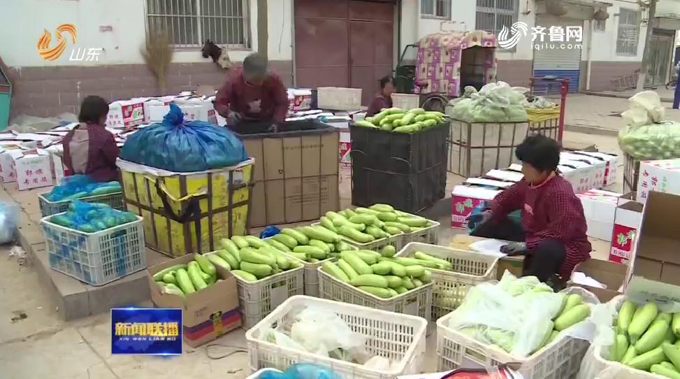 “聊城长豆角市场喜讯连连，价格走势看涨！”