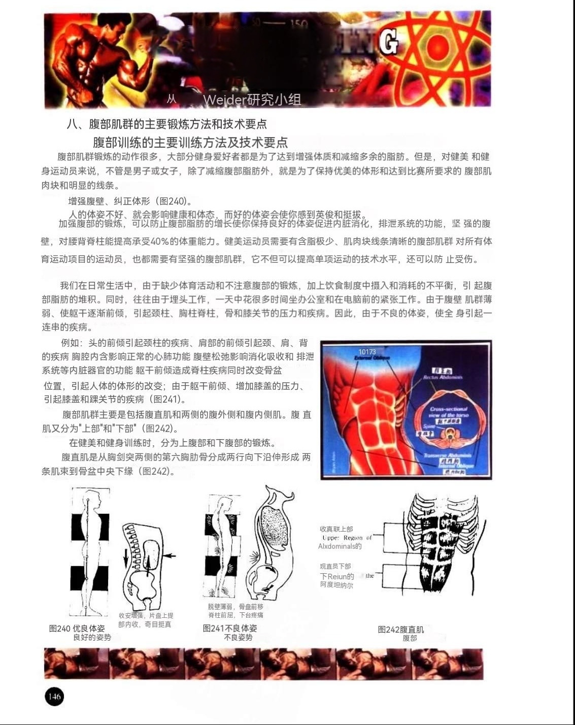 全新健美运动指南解析