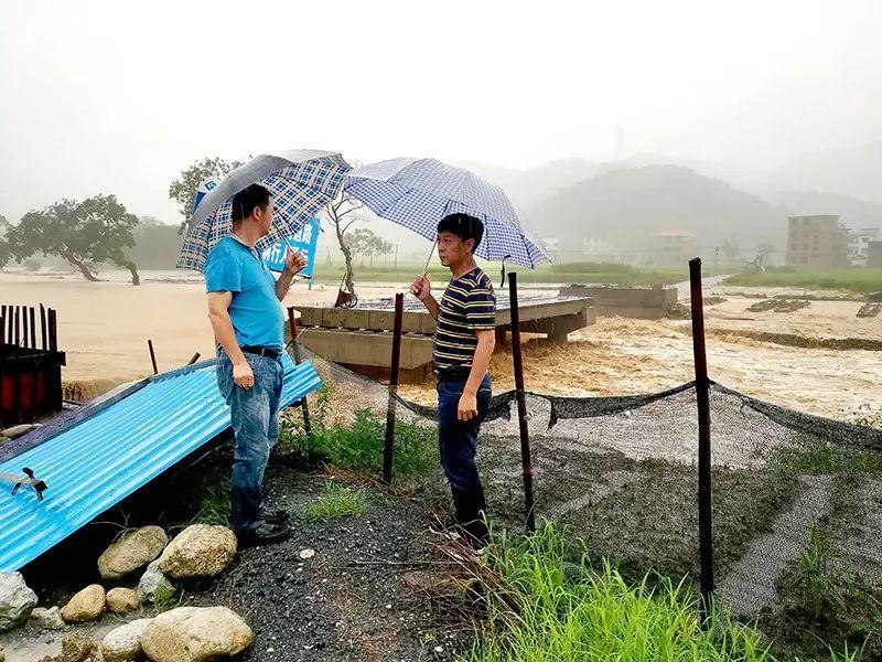 最新动态河道水情全景图解